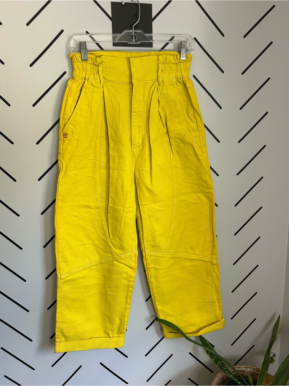 Urban outfitters Thalia vintage twill high waisted pleated pants